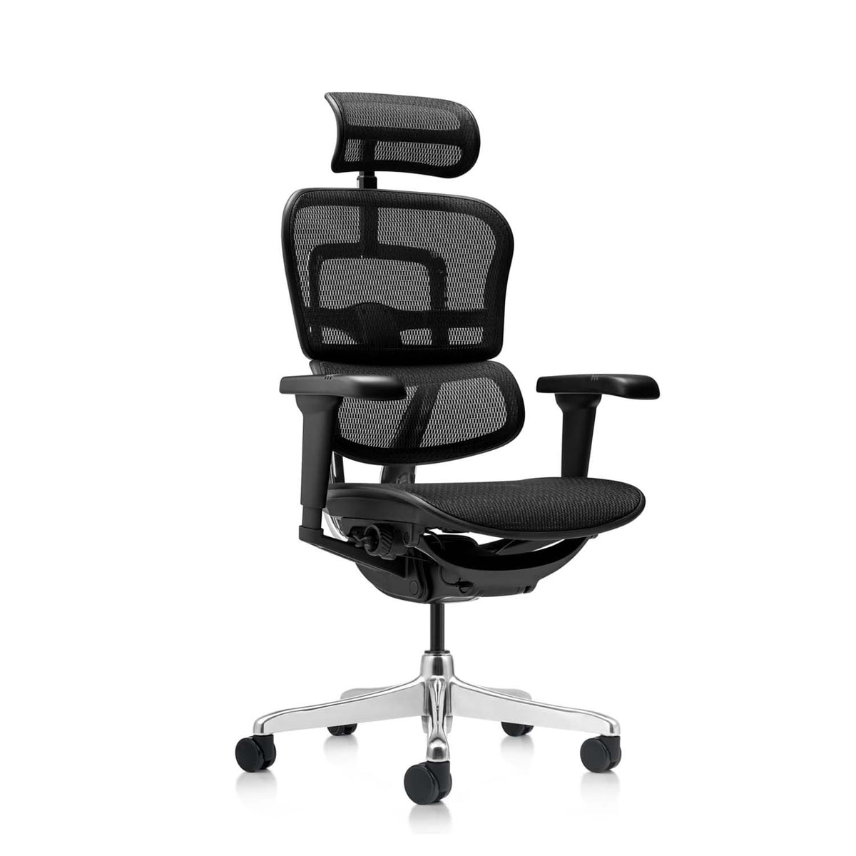 Ergohuman Ultra USA Patent Mesh Ergonomic Office Chair (5 Years Limite
