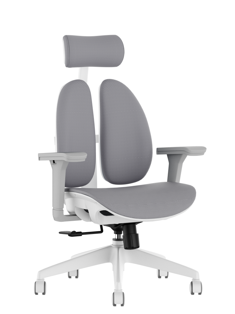 Progress Health PH-W09 Ergonomic Office Chair