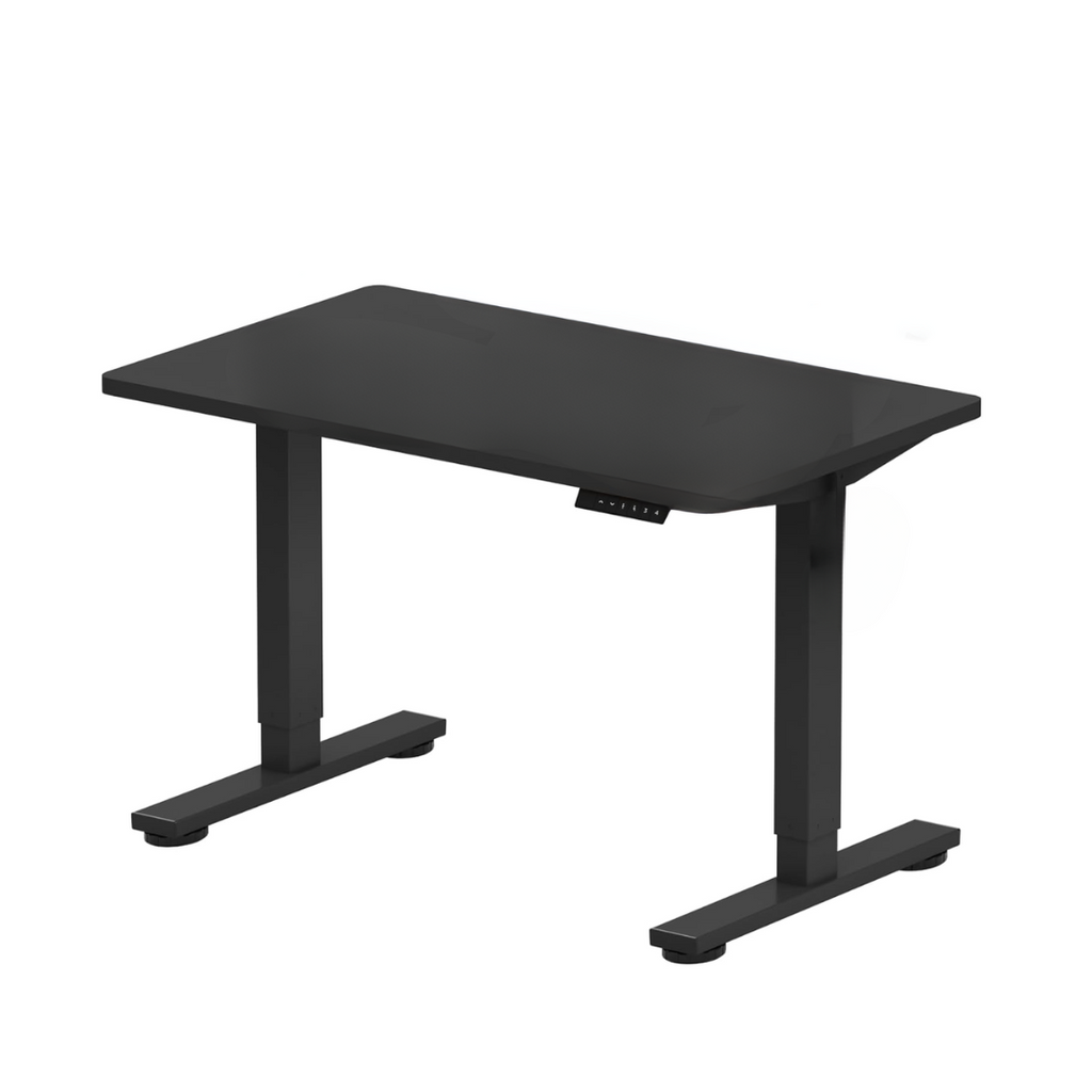 Flexispot EN1 Height Adjustable Standing Desk Black Colour