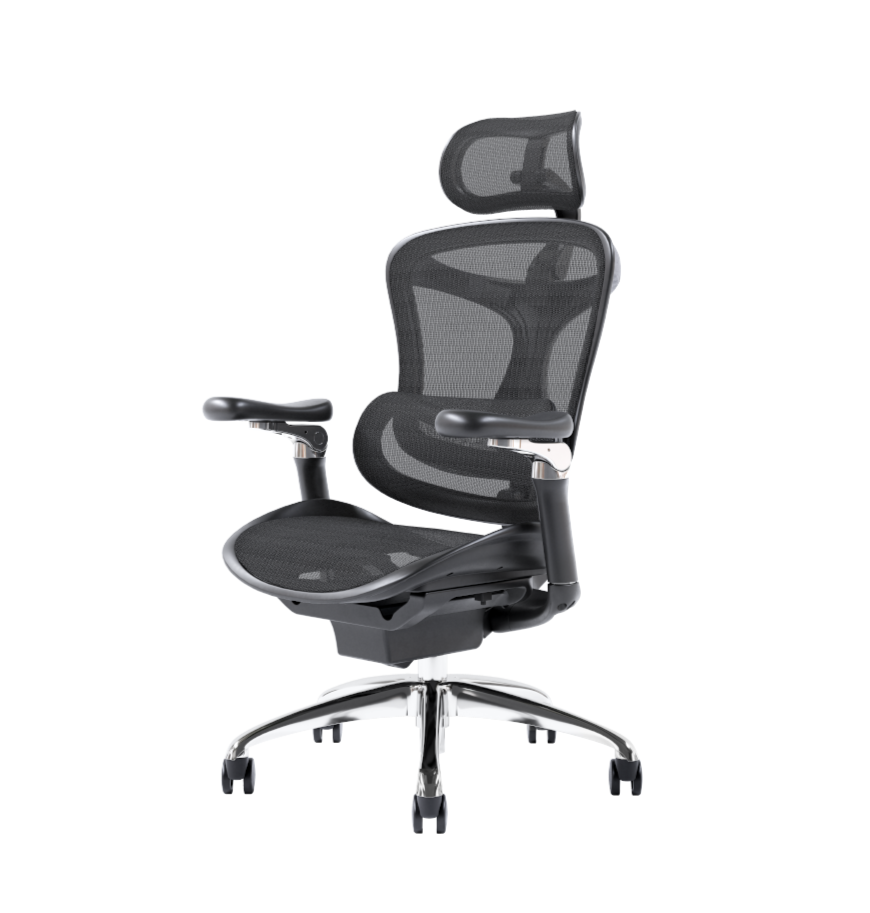 Sihoo Doro C300 Mesh Ergonomic Office Chair Without Legrest