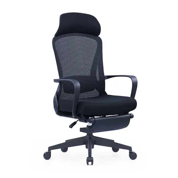 ErgoNest Pro Ergonomic Office Chair With Legrest