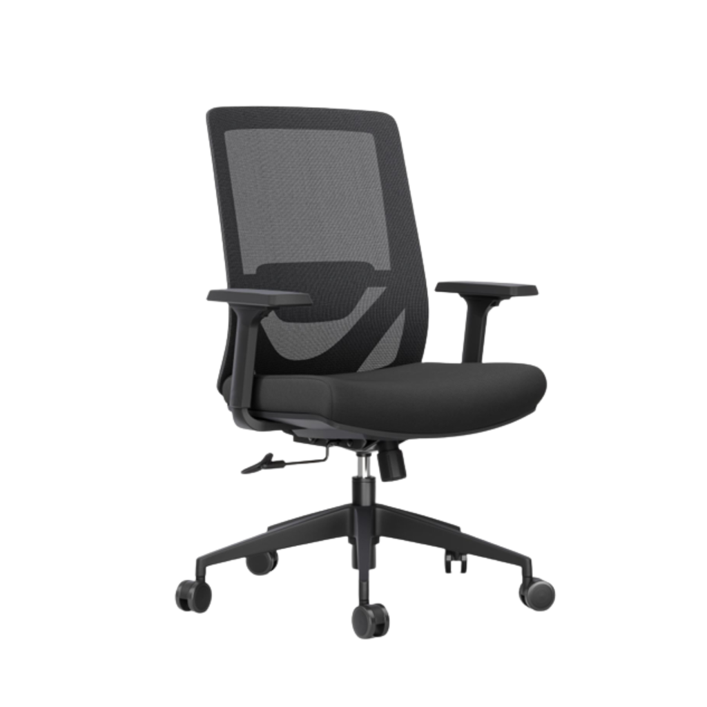 ErgoVerta Mid Back Ergonomic Office Chair