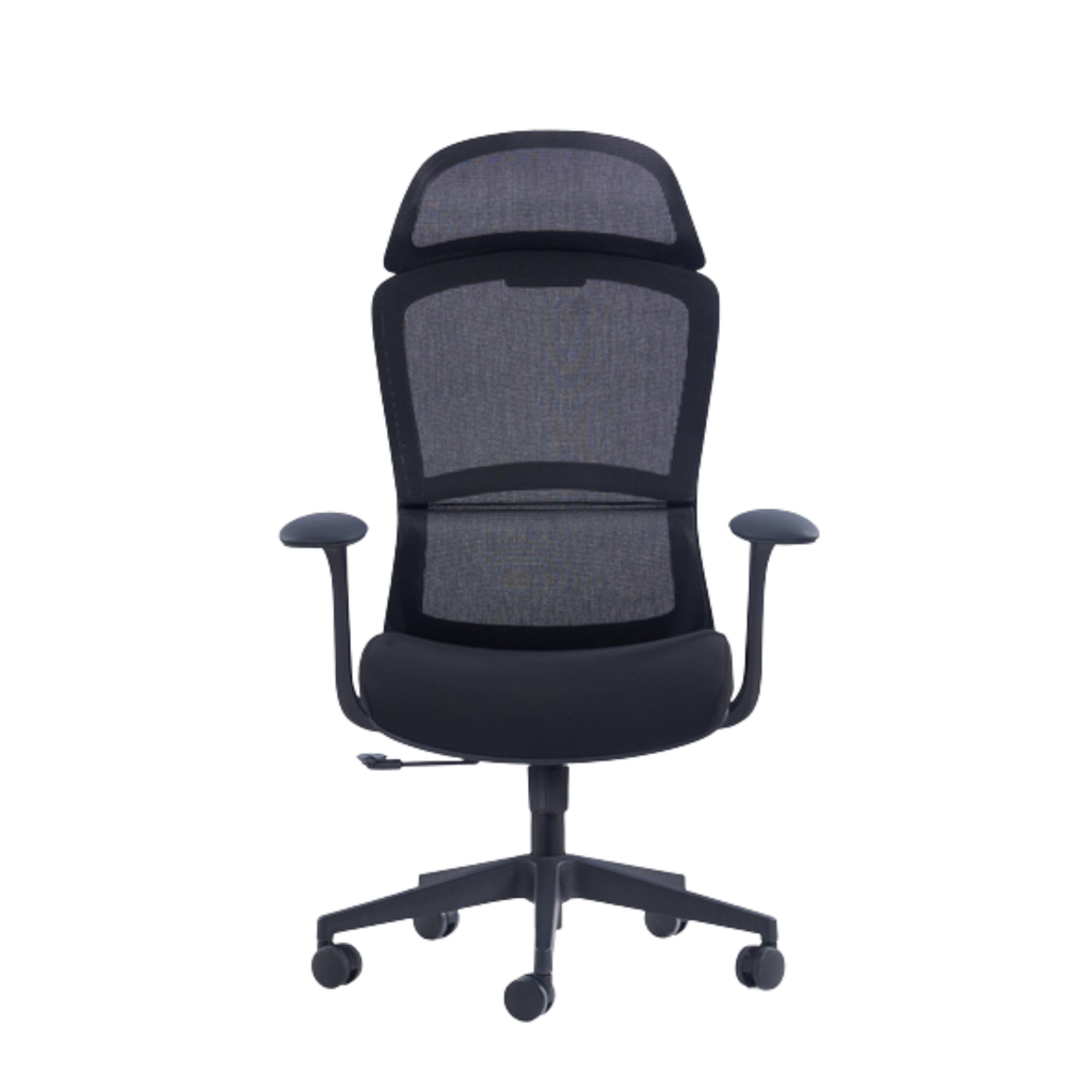 ErgoCresca Pro High Back Ergonomic Office Chair
