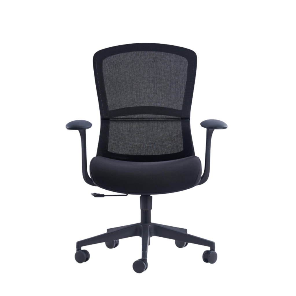 ErgoCresca Mid Back Ergonomic Office Chair