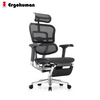 Ergohuman Elite 2 Matrex USA Patent Mesh Ergonomic Office Chair With Legrest (10 Years Limited Warranty)