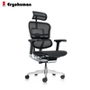 Ergohuman Elite 2 Matrex USA Patent Mesh Ergonomic Office Chair Without Legrest (10 Years Limited Warranty)