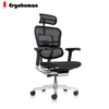 Ergohuman Elite 2 Matrex USA Patent Mesh Ergonomic Office Chair Without Legrest
