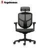 Ergohuman Enjoy Classic 2 High Back Ergonomic Mesh Chair (3 Years Limited Warranty)