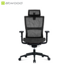 Ergohealth Pro Mesh Backrest Mesh Seat Ergonomic Office Chair (2 Years Limited Warranty)