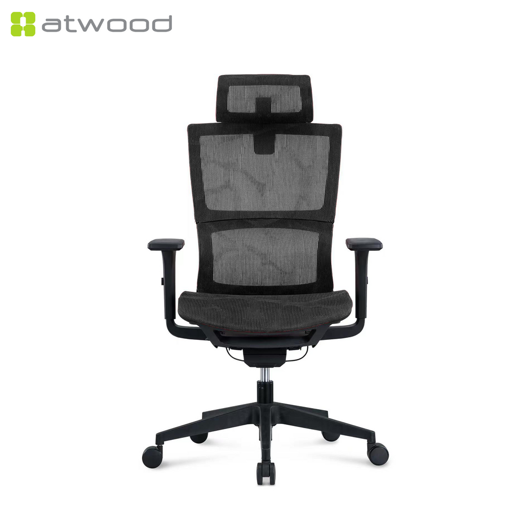 Ergohealth Pro Mesh Backrest Mesh Seat Ergonomic Office Chair (2 Years Limited Warranty)