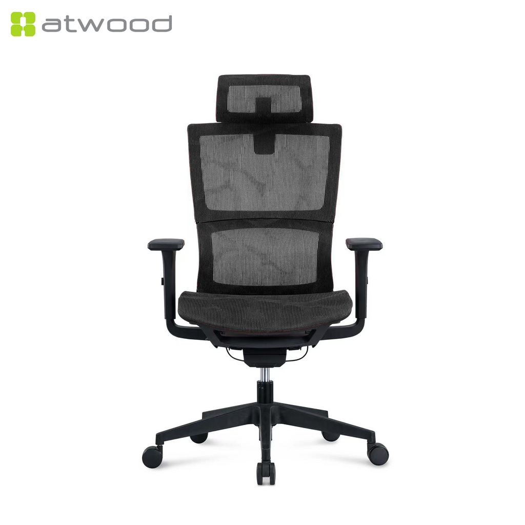 Ergohealth Pro Mesh Backrest Mesh Seat Ergonomic Office Chair