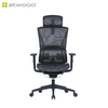 Ergohealth Pro Deluxe Mesh Backrest Mesh Seat Ergonomic Office Chair (2 Years Limited Warranty)