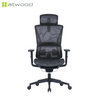 Ergohealth Pro Deluxe Mesh Backrest Mesh Seat Ergonomic Office Chair