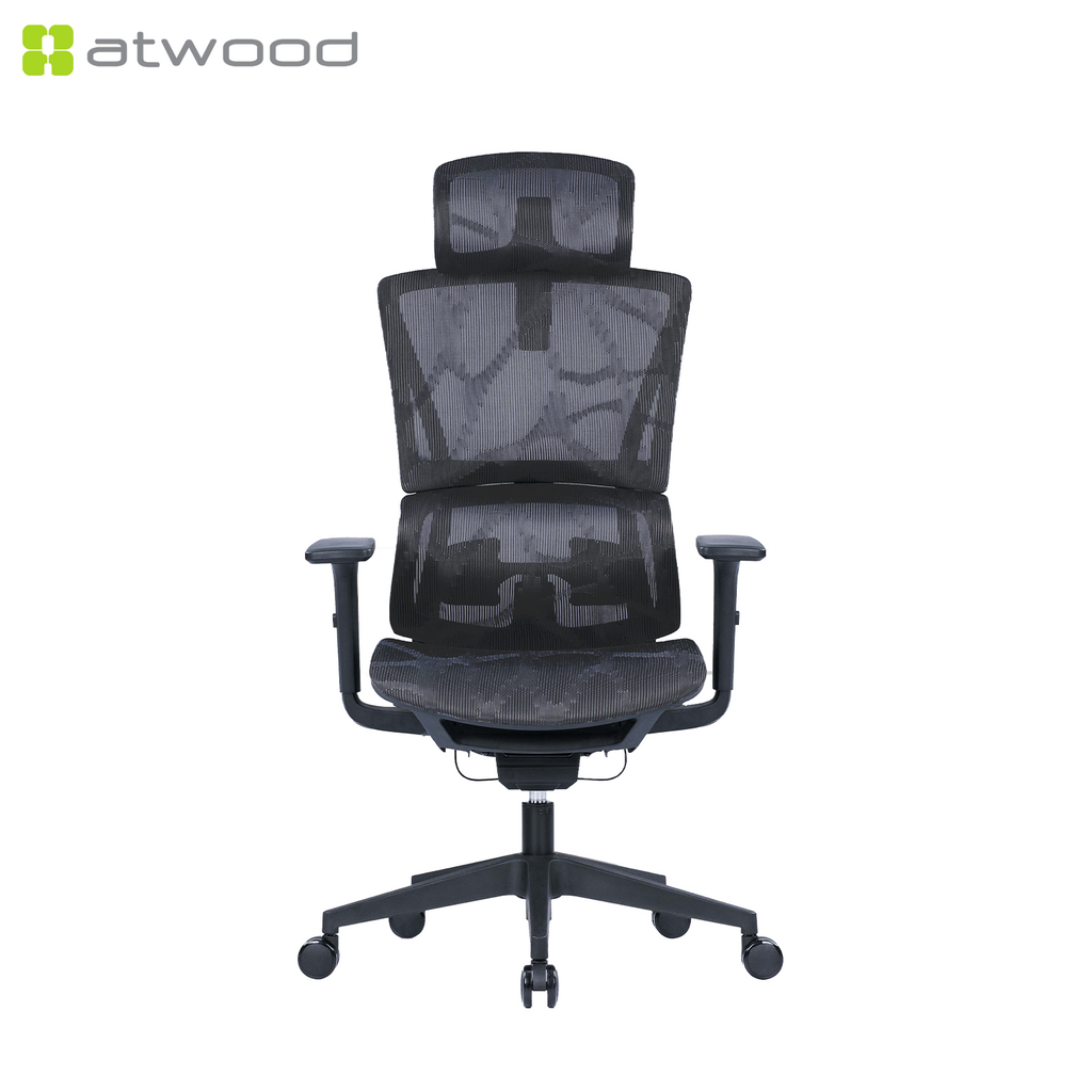Ergohealth Pro Deluxe Mesh Backrest Mesh Seat Ergonomic Office Chair (2 Years Limited Warranty)