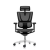 Ergohuman IOO Ultra Matrex USA Patent Mesh Ergonomic Office Chair (5 Years Limited Warranty)