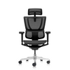 Ergohuman IOO Ultra Matrex USA Patent Mesh Ergonomic Office Chair