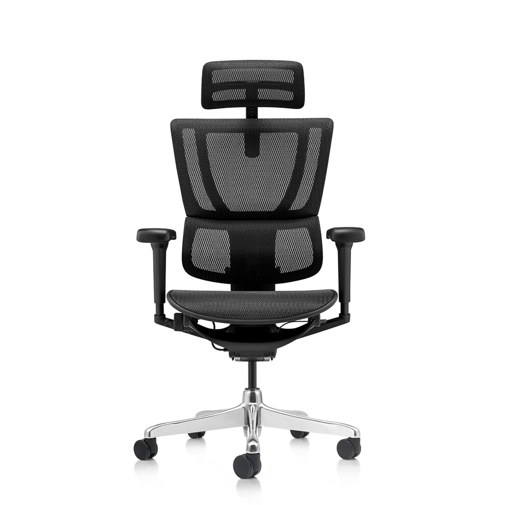 Ergohuman IOO Ultra Matrex USA Patent Mesh Ergonomic Office Chair (5 Years Limited Warranty)
