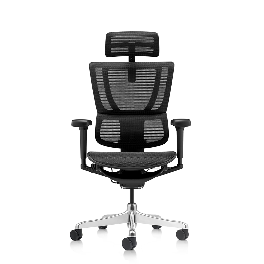 Ergohuman IOO Ultra Matrex USA Patent Mesh Ergonomic Office Chair