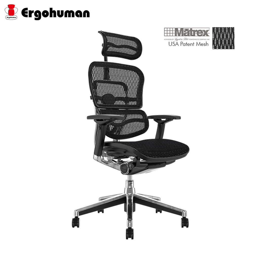 Ergohuman Plus Elite Matrex USA Patent Mesh Ergonomic Office Chair (5 Years Limited Warranty)