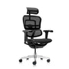 Ergohuman Ultra USA Patent Mesh Ergonomic Office Chair (5 Years Limited Warranty)