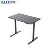 Flexispot Q Adjustable Standing and Sitting Ergonomic Desk Black Colour