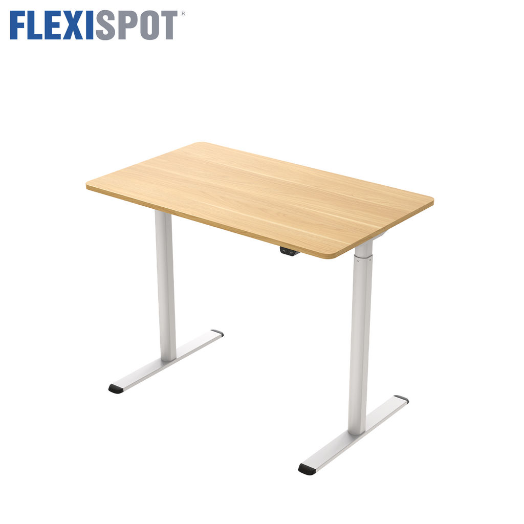 Flexispot Q Adjustable Standing and Sitting Ergonomic Desk Oak Colour