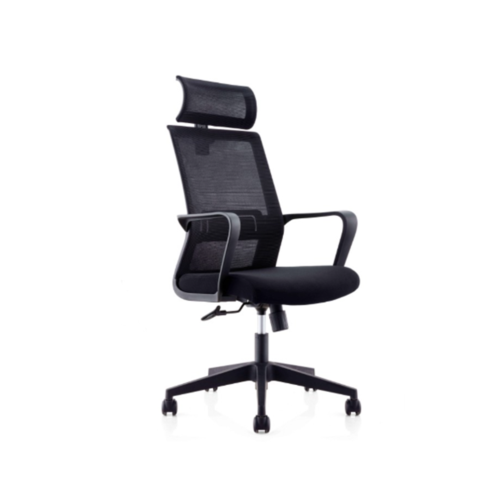 ErgoZen Pro Ergonomic Office Chair