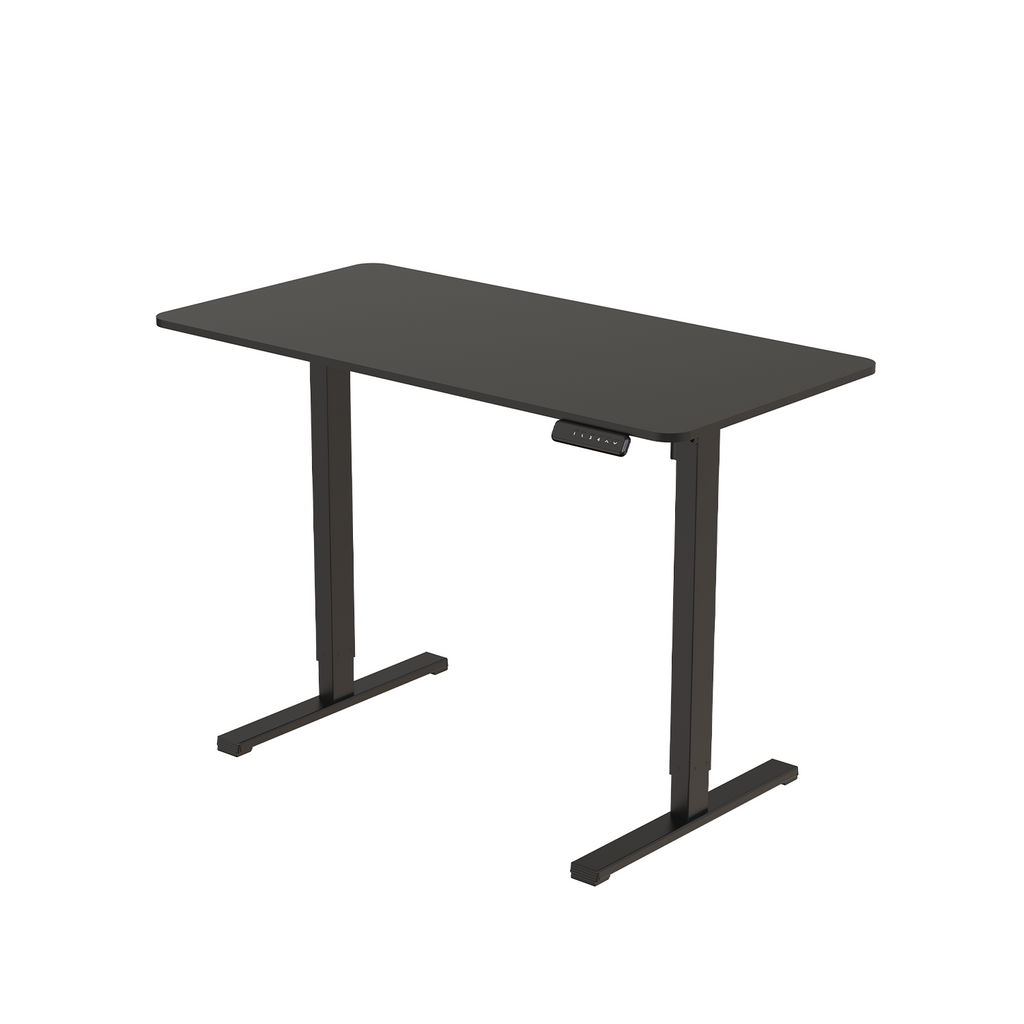 Flexispot FQ2 Adjustable Height Standing Desk Black Colour