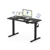Flexispot E2Pro Ergonomic Adjustable Height Desk