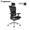 Ergohuman IOO 3D Headrest Matrex USA Patent Mesh Ergonomic Office Chair
