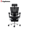 Ergohuman IOO Elite 2 Matrex USA Patent Mesh Ergonomic Office Chair with Legrest (10 Years Limited Warranty)