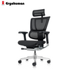 Ergohuman IOO Elite 2 Matrex USA Patent Mesh Ergonomic Office Chair without Legrest (10 Years Limited Warranty)