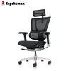 Ergohuman IOO Elite 2 Matrex USA Patent Mesh Ergonomic Office Chair without Legrest