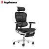 Ergohuman Luxury 2 Matrex USA Patent Mesh Ergonomic Office Chair With Legrest (without Wireless Control) (10 Years Limited Warranty)