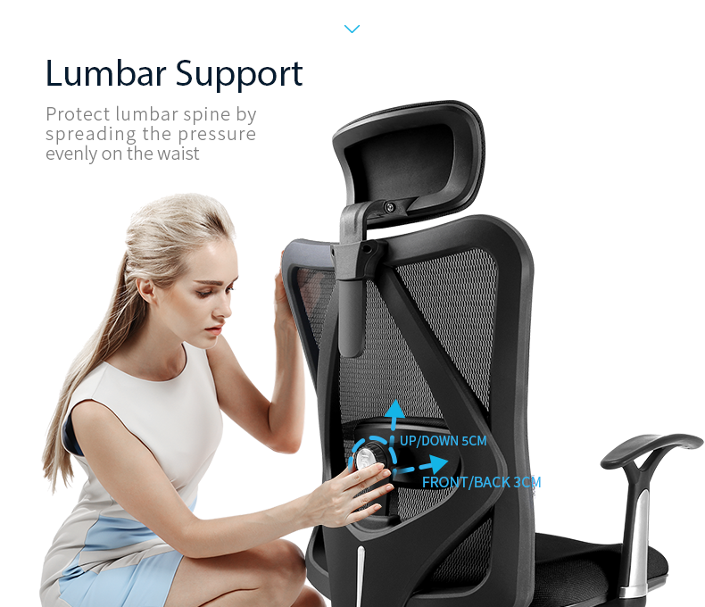 Sihoo M16 Ergonomic Office Chair without Headrest 1 Year Limited Warr