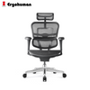 Ergohuman Pro 2 Matrex USA Patent Mesh Ergonomic Office Chair
