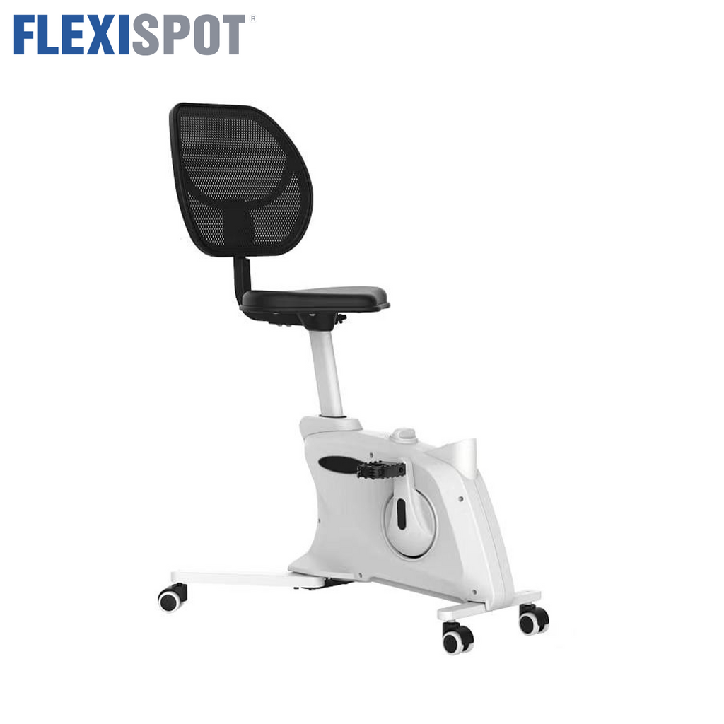 Flexispot Sit2Go Fitness Chair / Seat Height Adjustable