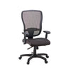 Canice Ergonomic Office Chair