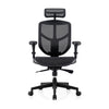 Ergohuman Enjoy Deluxe 2 Full Mesh Ergonomic Chair with headrest