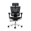 Ergohuman IOO Elite 2 Matrex USA Patent Mesh Ergonomic Office Chair without Legrest