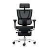 Ergohuman IOO Elite 2 Matrex USA Patent Mesh Ergonomic Office Chair with Legrest