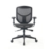 Ergohuman Enjoy Deluxe 2 Full Mesh Ergonomic Chair without headrest