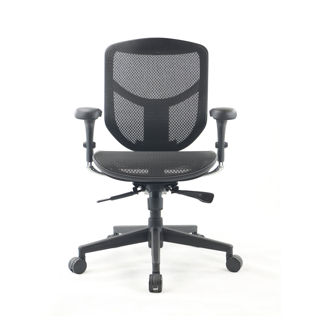 Hotel Kalinga Ergonomic Desk Chair For Lower Back Pain Back Pain
