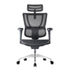 Ergohuman IOO Pro 2 Matrex USA Patent Mesh Ergonomic Office Chair