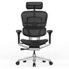 Ergohuman Elite 2 Matrex USA Patent Mesh Ergonomic Office Chair Without Legrest