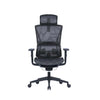 Ergohealth Orthoseries Plus Pro Deluxe Mesh Backrest Mesh Seat Ergonomic Office Chair