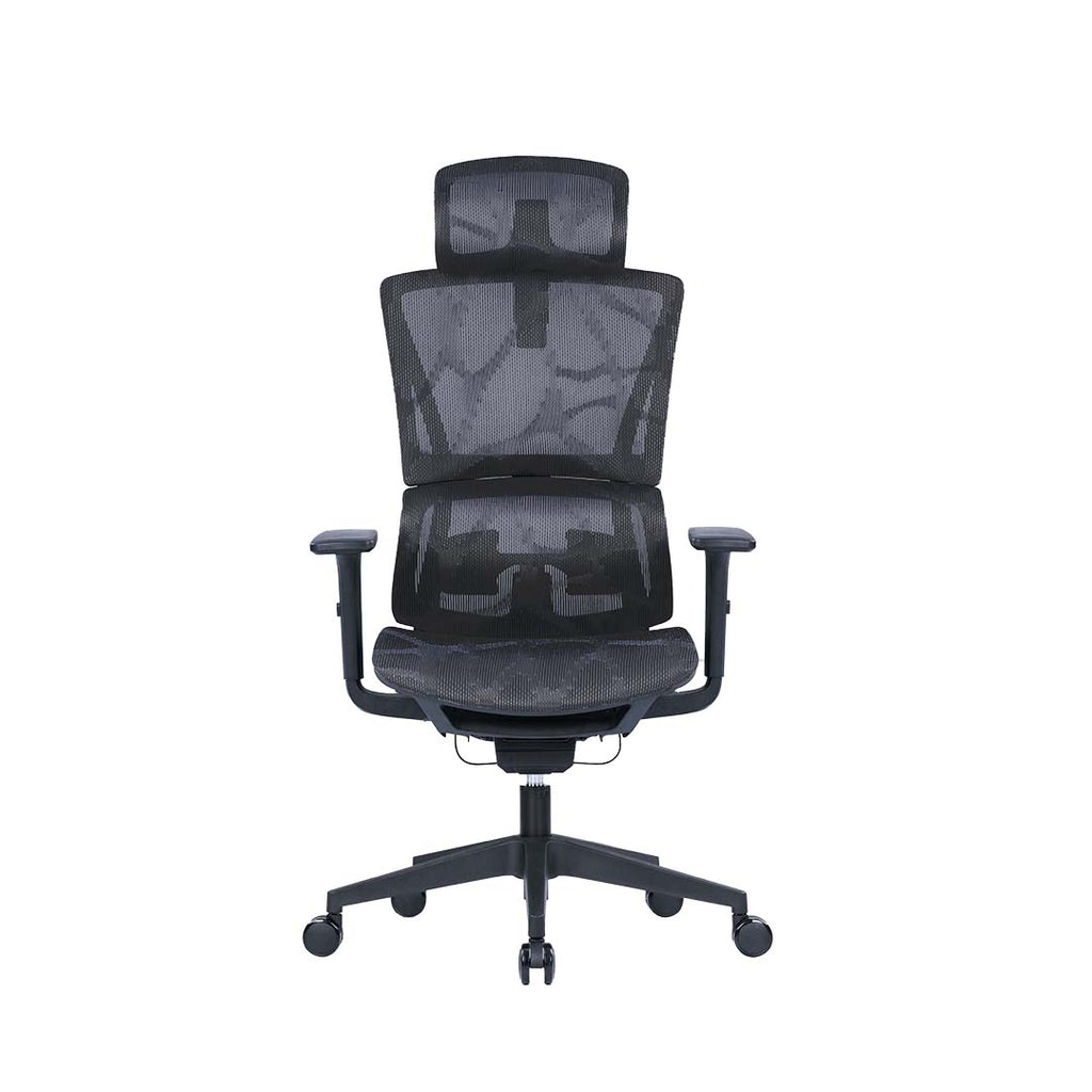 Ergohealth Orthoseries Plus Pro Deluxe Mesh Backrest Mesh Seat Ergonomic Office Chair