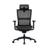 Ergohealth Orthoseries Plus Pro Mesh Backrest Mesh Seat Ergonomic Office Chair
