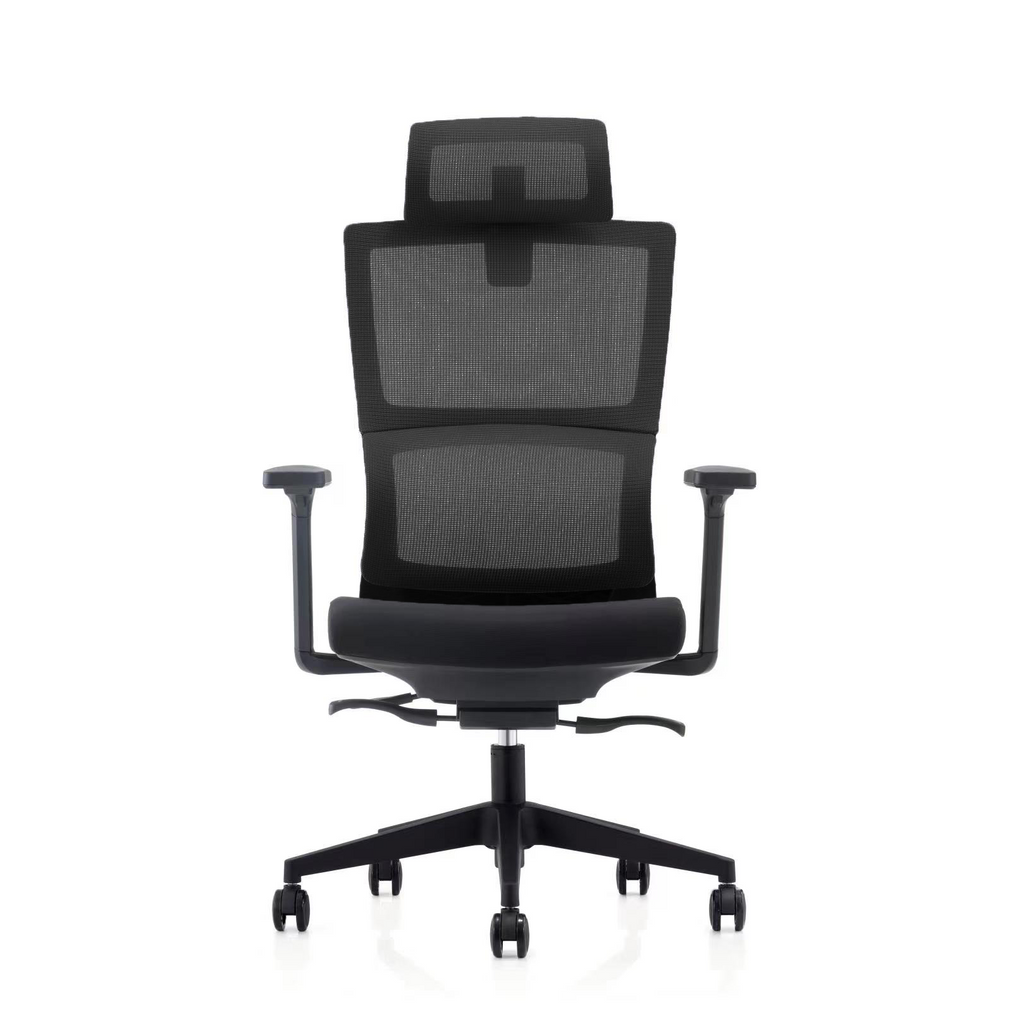 Ergohealth Mesh Backrest Fabric Seat Ergonomic Office Chair (2 Years Limited Warranty)