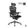 Ergohuman Classic Matrex USA Patent Mesh Ergonomic Office Chair